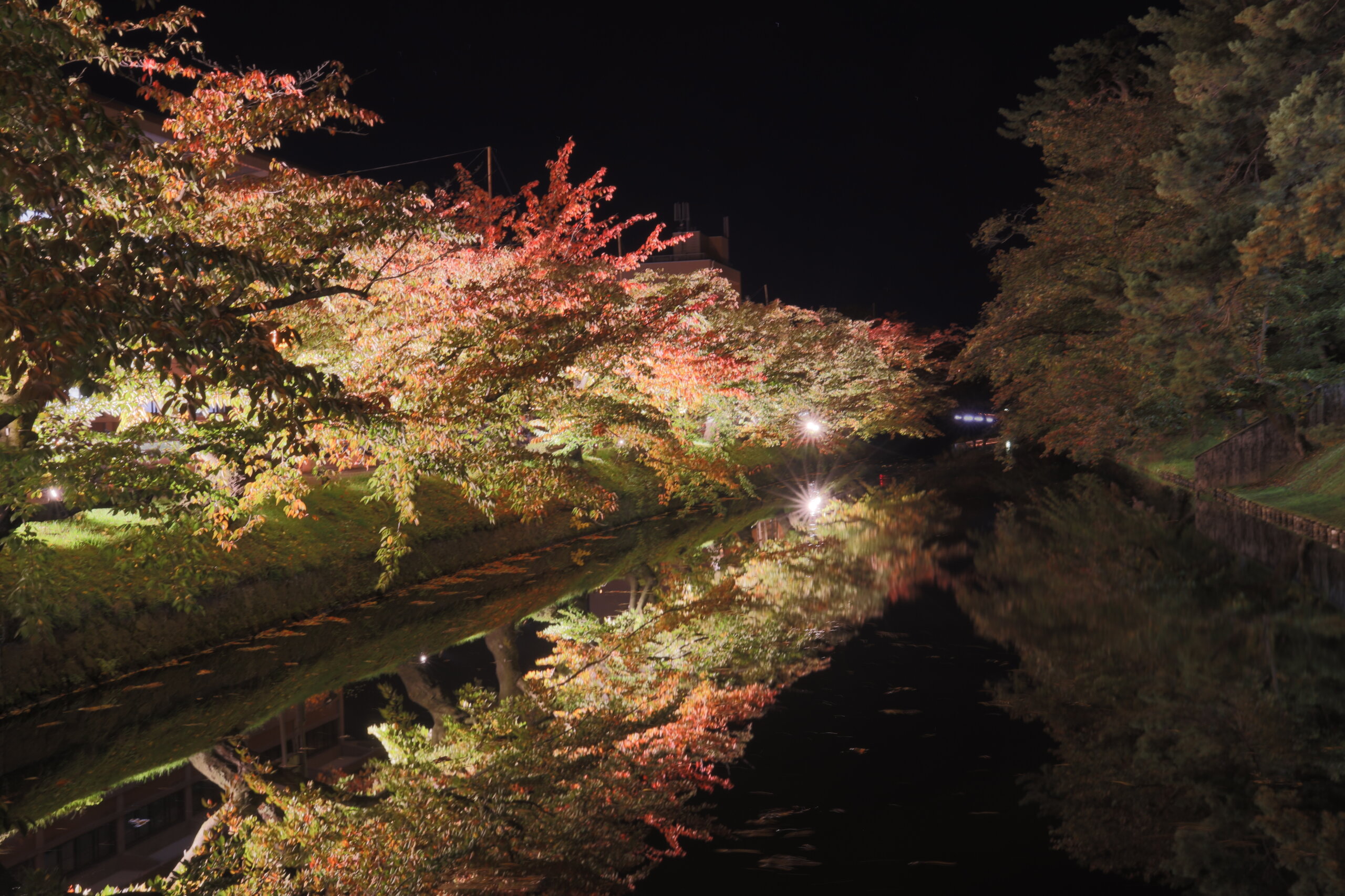 弘前さくらまつりで有名な弘前公園。桜の見頃、紅葉はいつ？