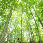 白神山地のおすすめのホテル【2025年最新】