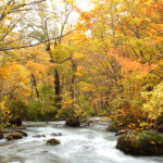 奥入瀬渓流のおすすめのホテル【2025年最新】