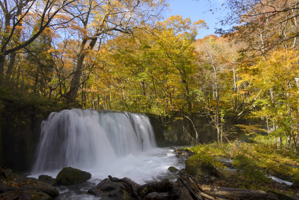 銚子大滝：紅葉