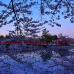 猿賀神社