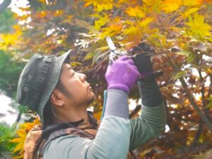 美術教師から庭師へ。「好き」を仕事に変えた楓景舎・葛西さんの第二の人生